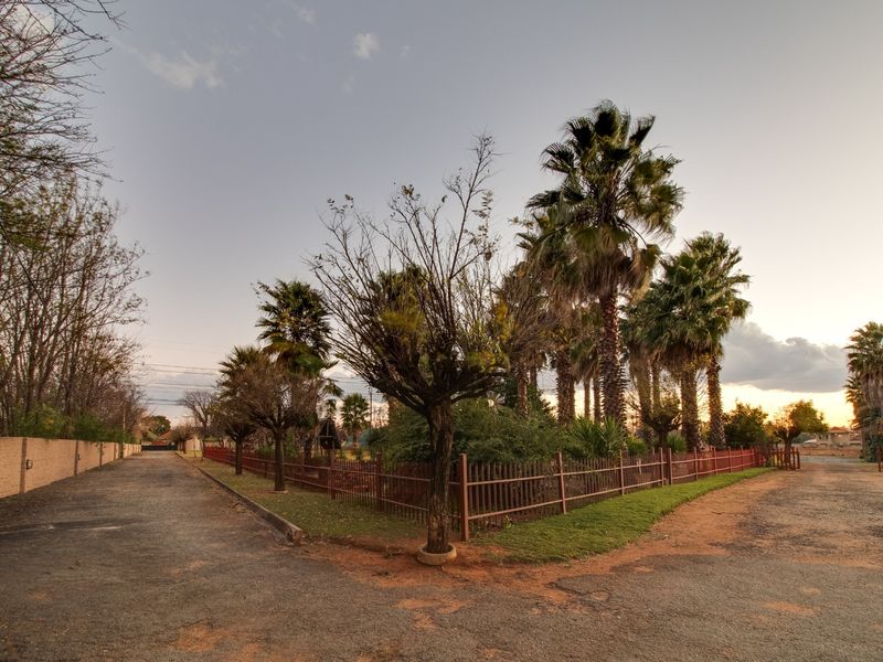 Exterior view of the property grounds featuring a gravel and asphalt driveway, perimeter fencing, and mature palm trees.