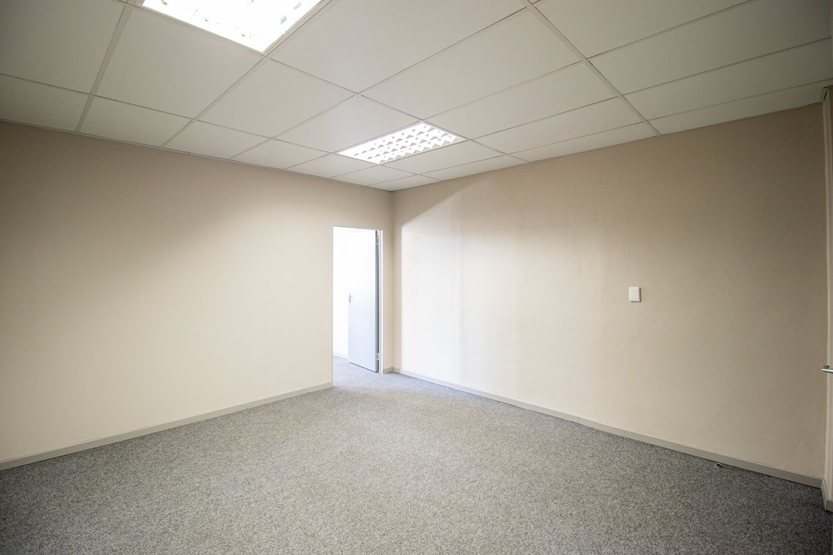 A clean, empty office space featuring neutral walls, grey carpeting, and a suspended ceiling with recessed lighting.