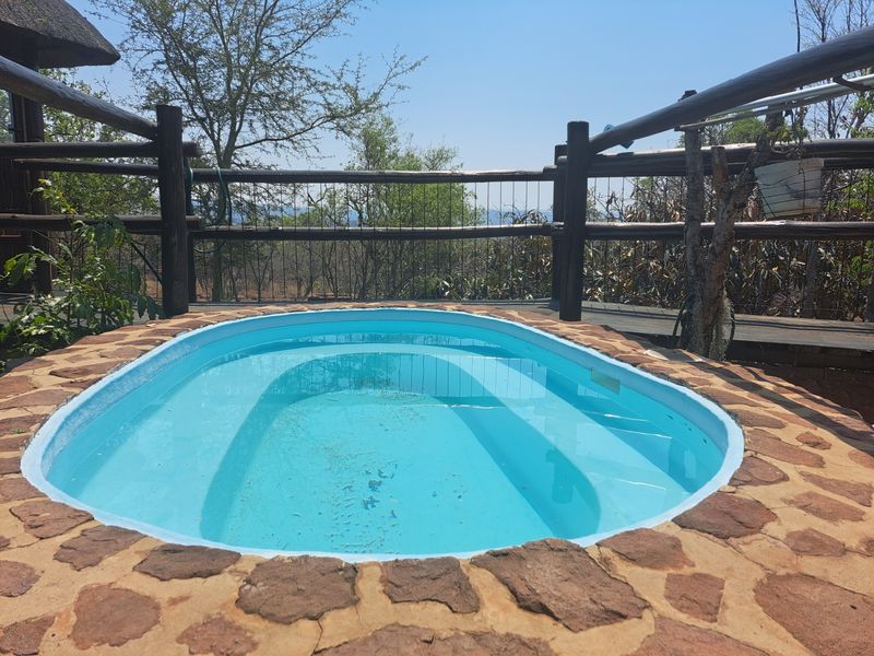 A small outdoor plunge pool featuring stone paving and timber pole fencing, set against a natural bushveld backdrop.