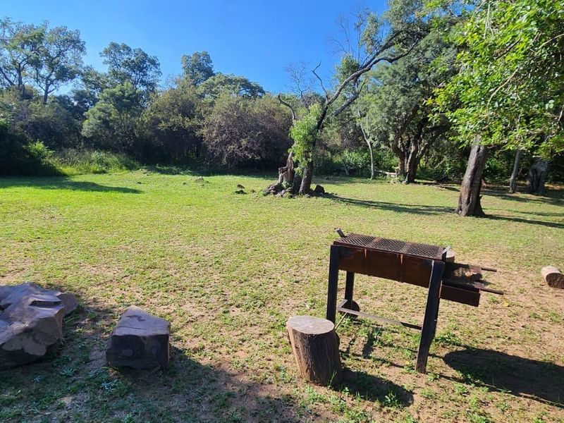 A spacious, natural garden area featuring mature trees and a grass lawn, offering a peaceful outdoor setting.