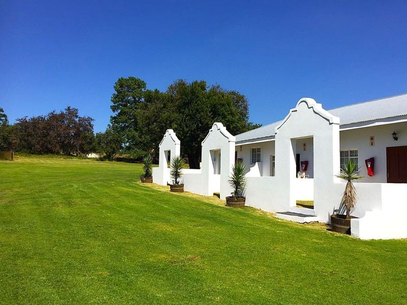 Country Living at its best - Photo 6