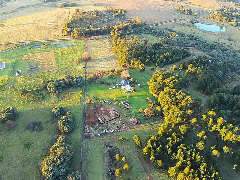 Country Living at its best - Photo 10