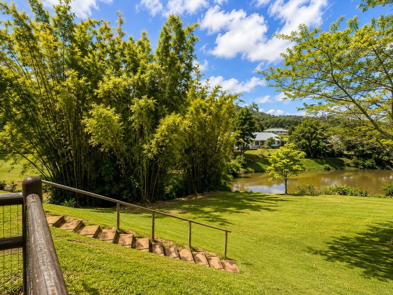 A scenic garden area featuring stone steps with a metal handrail, leading down to a tranquil pond surrounded by lush greenery and mature bamboo.