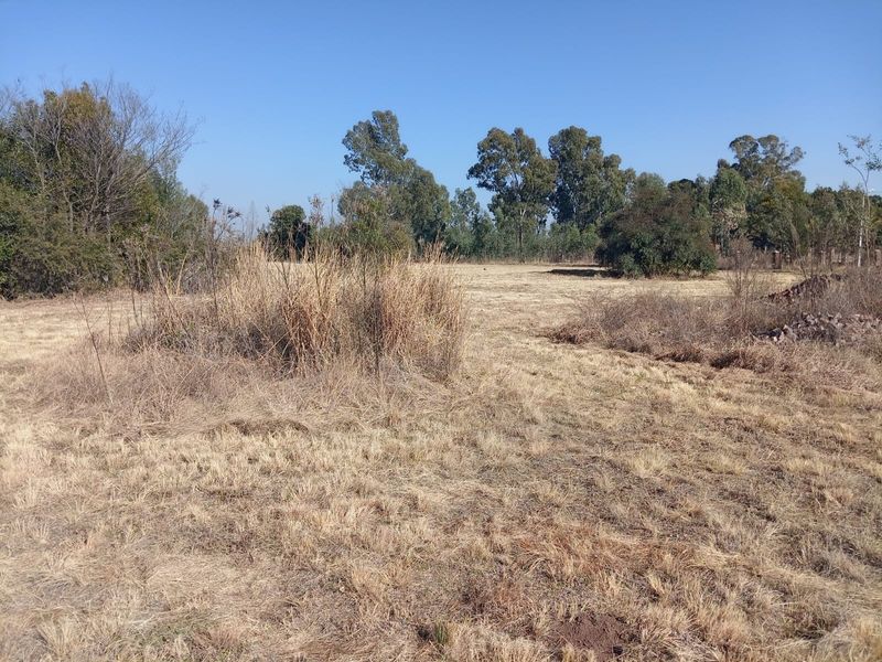 A wide, open plot of land featuring dry grass and mature trees, suitable for development or landscaping.