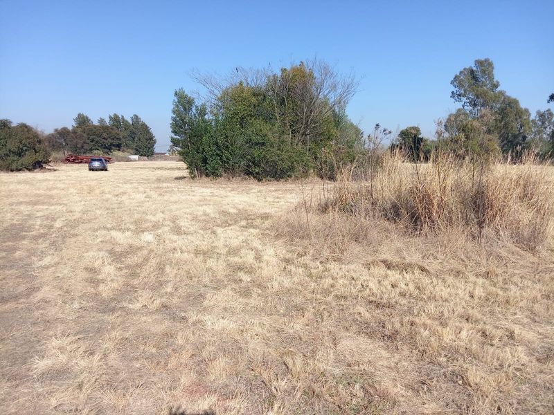 An expansive, undeveloped plot of land featuring dry grass and mature trees, suitable for future development or landscaping.