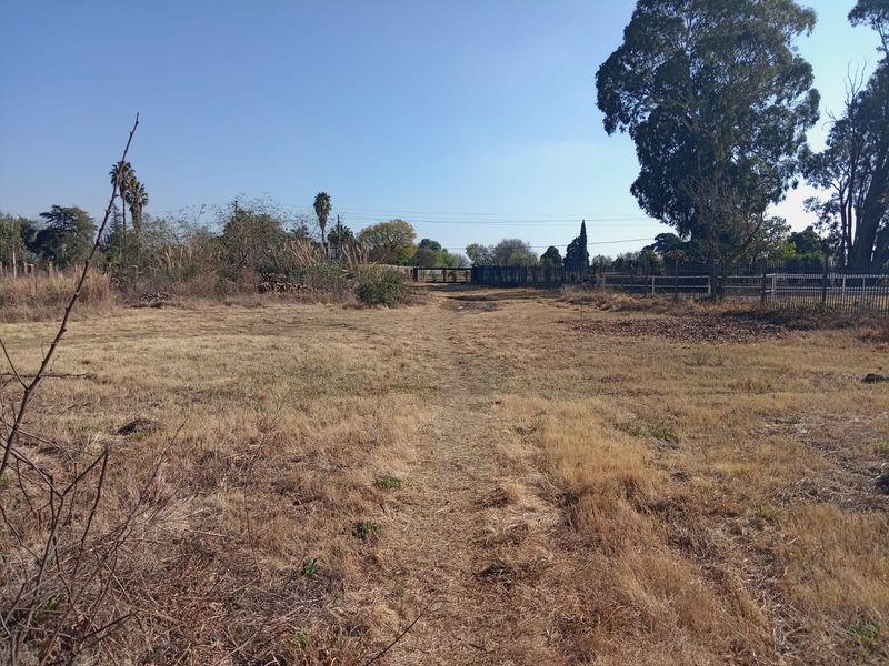 A large, undeveloped plot of land featuring dry grass, mature trees, and perimeter fencing, offering significant potential for future development or landscaping.