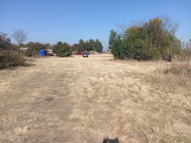 A large, undeveloped plot of land featuring dry grass and mature trees, offering significant potential for future development or landscaping.