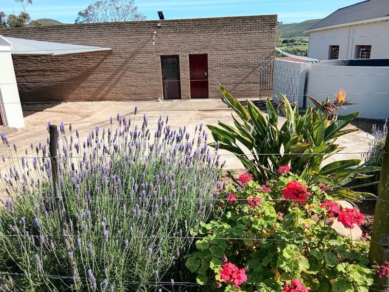 A rear exterior view featuring a brick building, concrete paved area, and a wire-fenced garden with established plants.