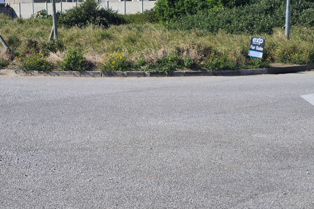 A street-level view of a vacant residential plot featuring asphalt road frontage and established kerbing.