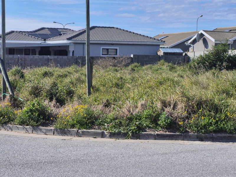 A vacant residential plot featuring concrete kerbing and a boundary wall, currently covered in overgrown vegetation.