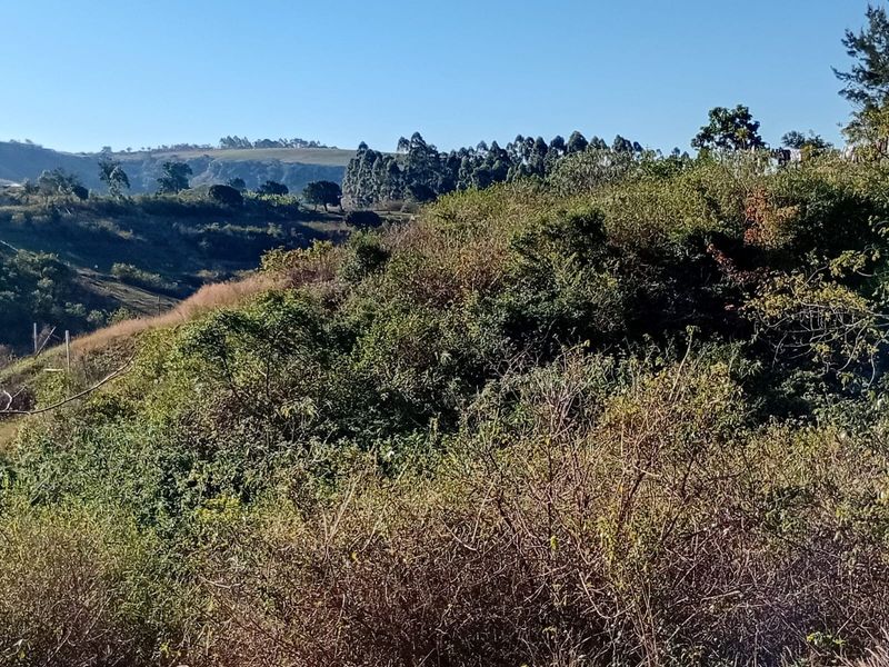 A scenic view of the natural landscape, featuring rolling hills and dense vegetation on the vacant residential property.