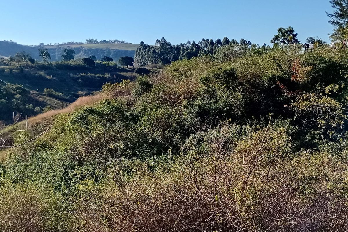 A scenic view of the natural landscape, featuring rolling hills and dense vegetation on the vacant residential property.