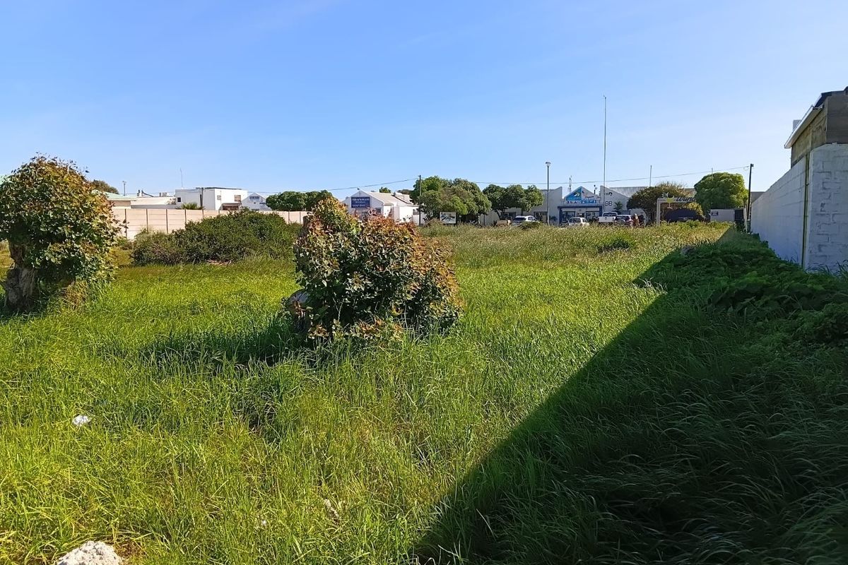 A vacant residential plot featuring overgrown grass and a boundary wall, offering a clear view of the surrounding neighborhood.