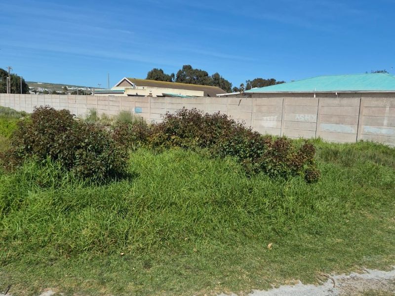 A vacant residential plot featuring overgrown grass and a precast concrete boundary wall with visible graffiti.