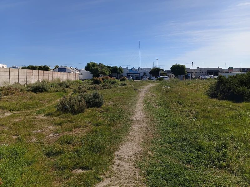 A vacant residential plot featuring natural grass coverage and a precast concrete boundary wall, situated in a developed neighborhood setting.