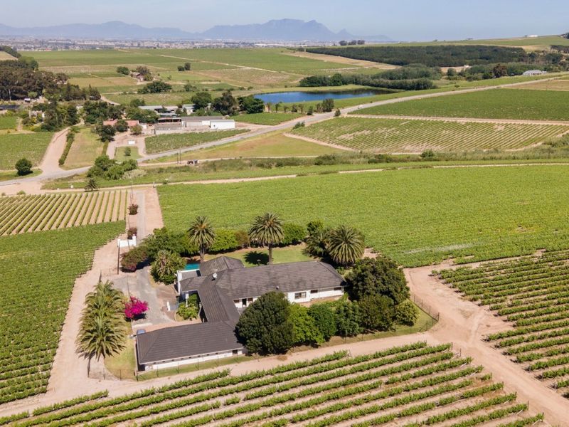 Farm For Sale in Stellenbosch - Photo 6