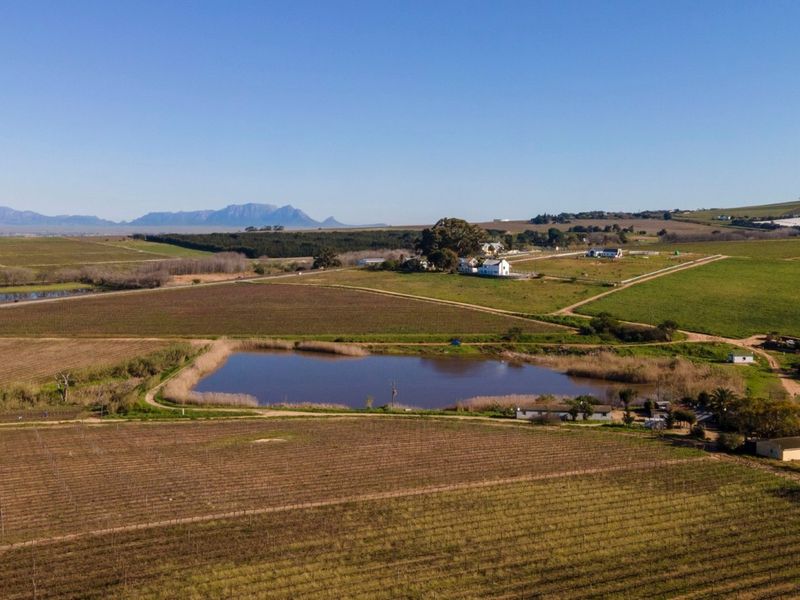 Farm For Sale in Stellenbosch - Photo 10