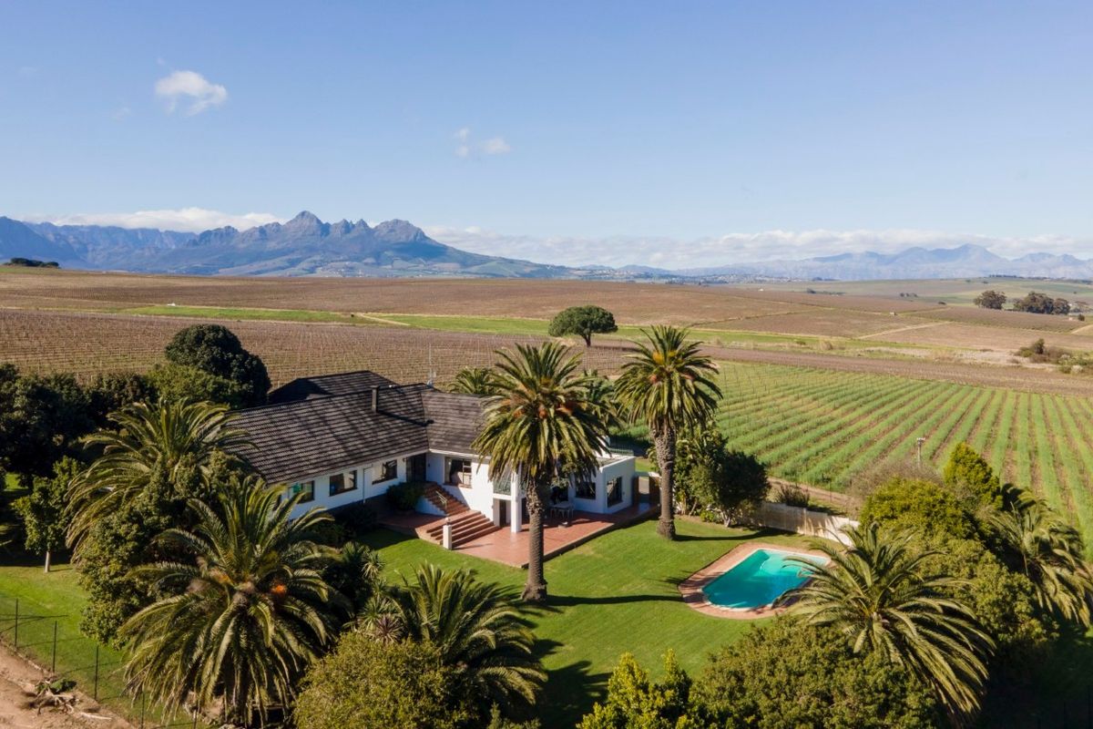 Aerial view of a farm property featuring a main residence, swimming pool, landscaped garden, and expansive surrounding vineyards with mountain views.