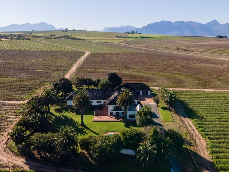 Farm For Sale in Stellenbosch - Photo 4