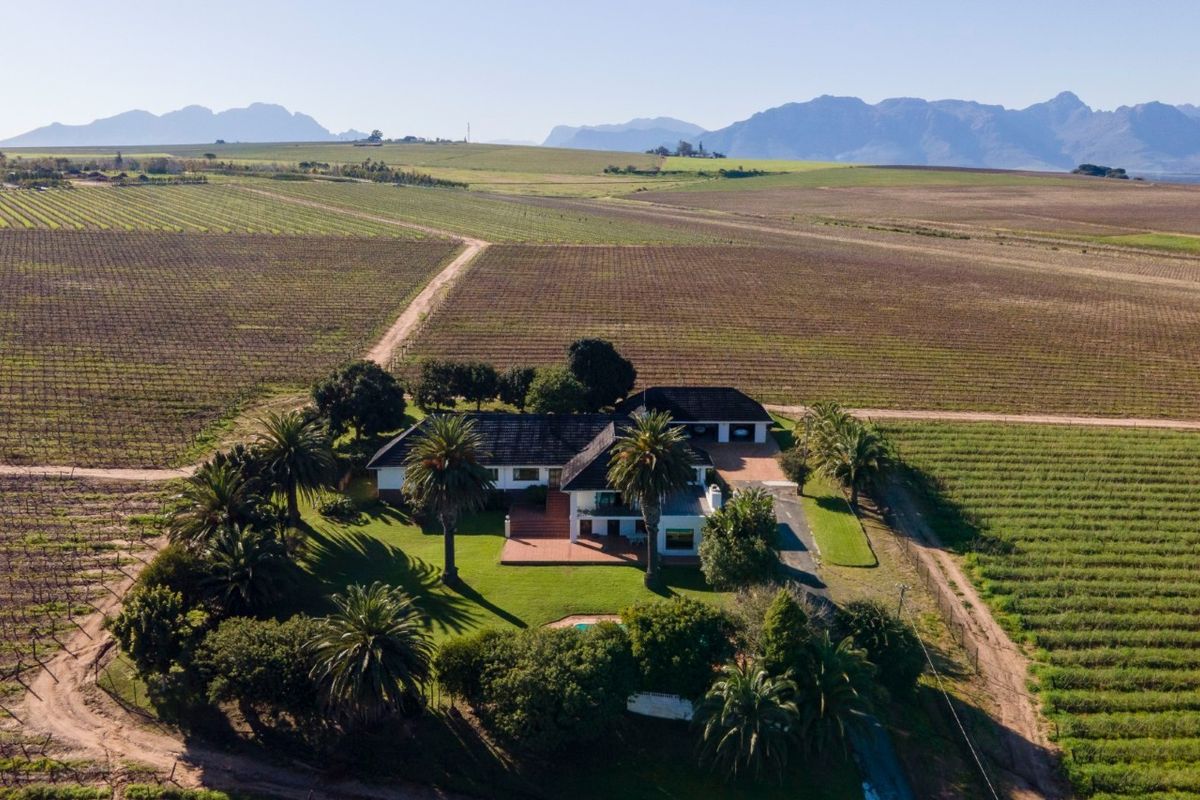 Aerial view of a farm property featuring a main residence, swimming pool, landscaped gardens, and extensive surrounding vineyards with mountain views.