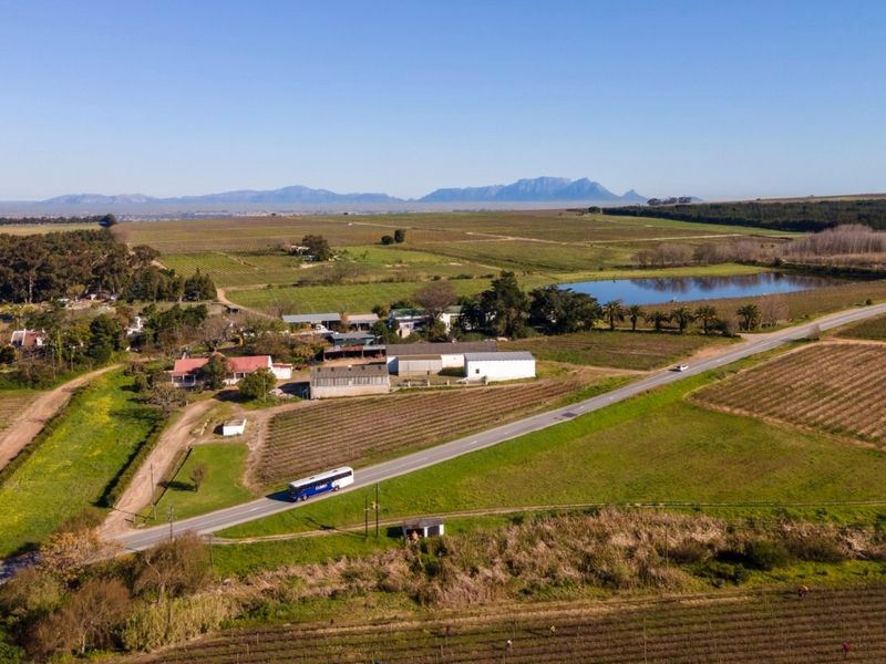 Farm For Sale in Stellenbosch - Photo 5