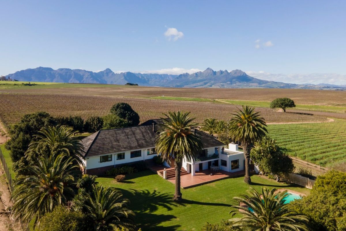 Aerial view of a farm property featuring a main residence with a tiled roof, patio, swimming pool, and expansive surrounding vineyards and mountain views.