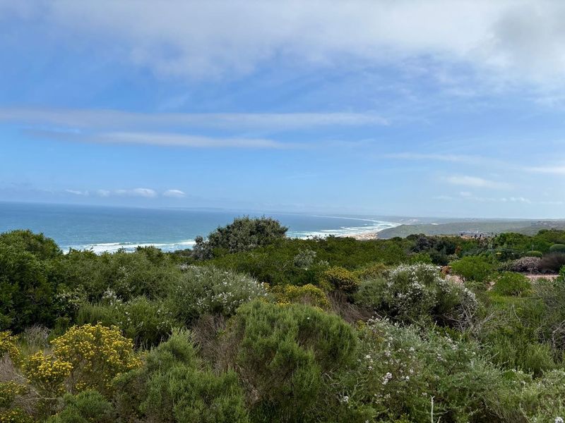 A scenic coastal view overlooking native vegetation and the ocean horizon.
