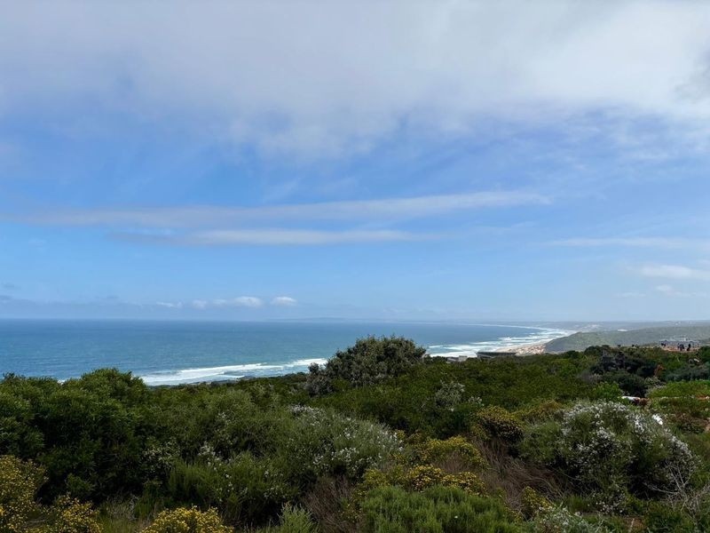 A scenic elevated view overlooking the coastline, featuring natural vegetation and expansive ocean vistas.