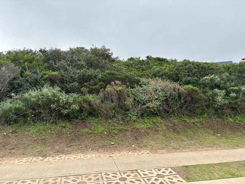 A view of a vacant residential plot featuring natural vegetation and a paved walkway in the foreground.
