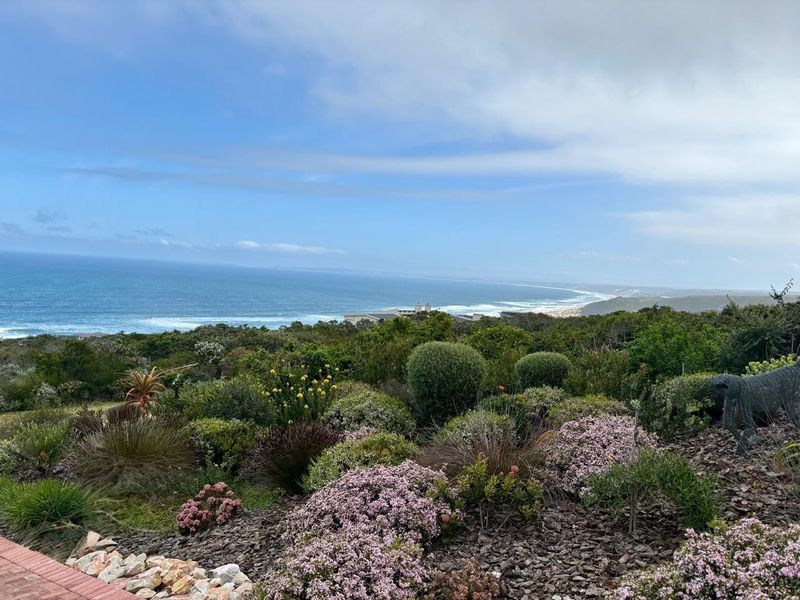 A scenic elevated view overlooking the coastline, featuring lush native vegetation and expansive ocean vistas.