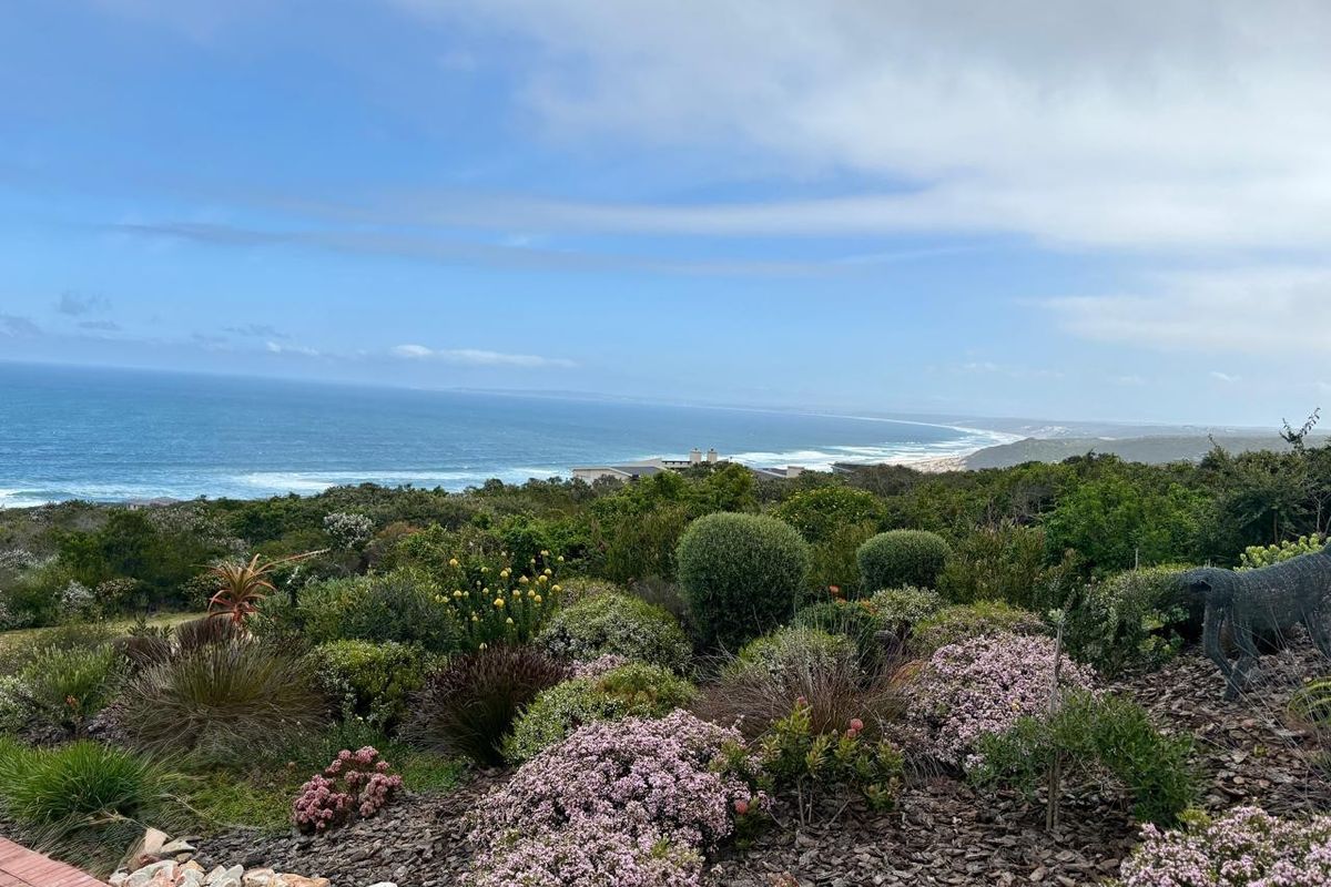 A scenic elevated view overlooking the coastline, featuring lush native vegetation and expansive ocean vistas.