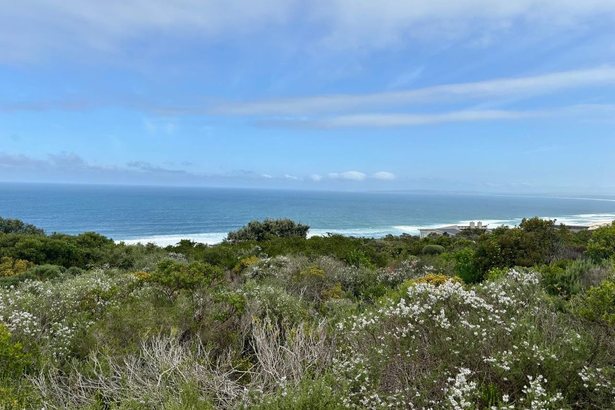 A scenic view overlooking the coastline with native coastal vegetation and an expansive ocean horizon.