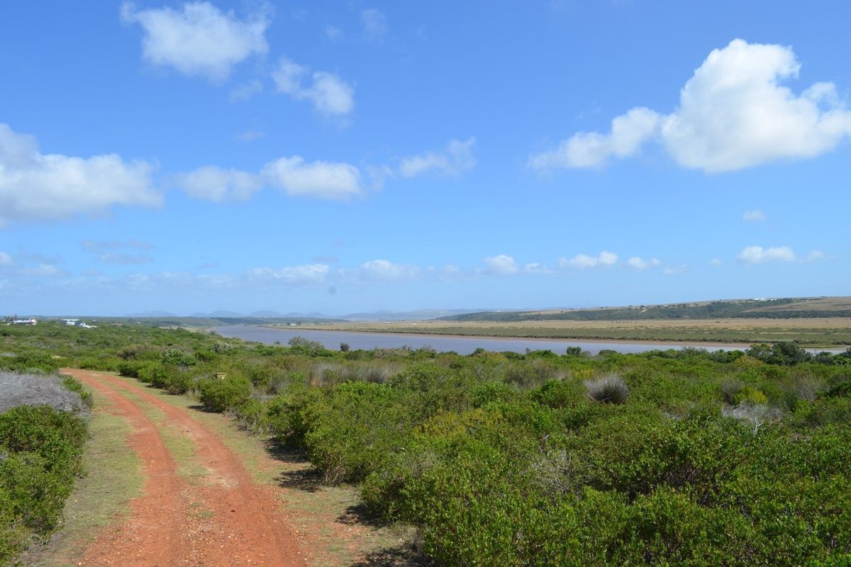 A scenic view of the vacant land featuring a dirt access road, natural coastal vegetation, and river frontage.