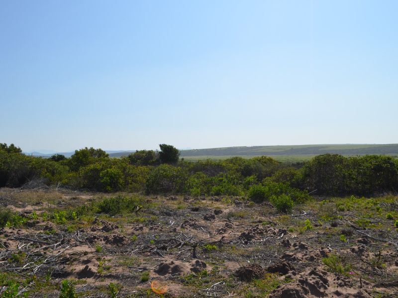 A wide-angle view of undeveloped residential land featuring natural coastal vegetation and open terrain under a clear blue sky.
