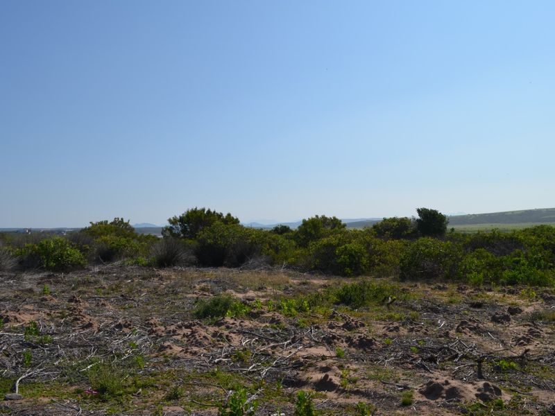 A view of the natural landscape and native vegetation on the vacant residential land plot.