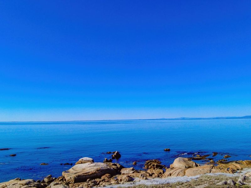 WHALES, WAVES AND ENDLESS HORIZONS - YOUR FRONTROW SEAT TO THE ATLANTIC! - Photo 5
