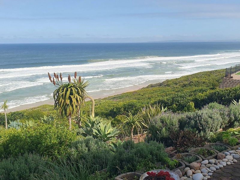A scenic elevated view overlooking the ocean and coastline, featuring a well-maintained garden with native plants and a paved pathway.