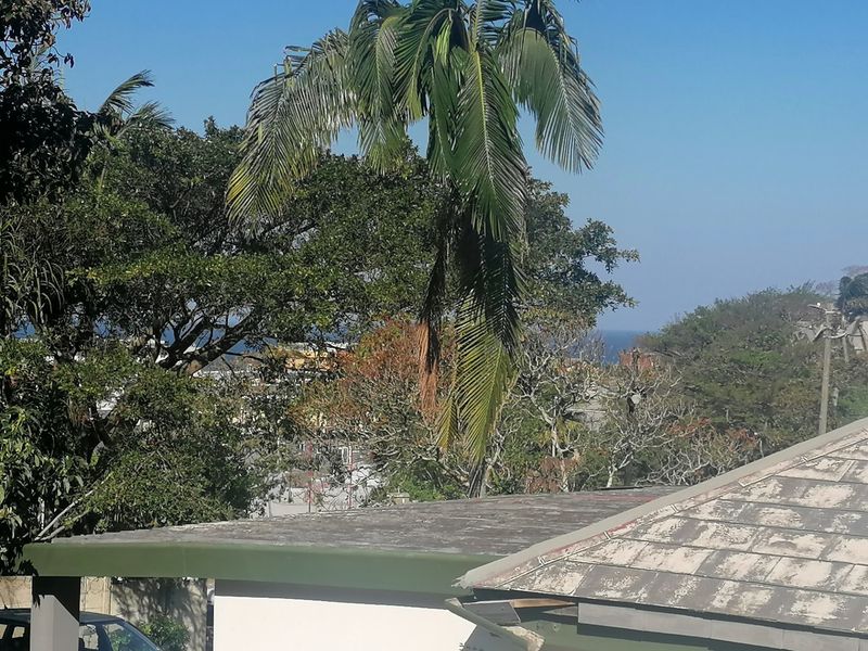An elevated view overlooking surrounding trees and neighborhood rooftops with a glimpse of the ocean in the distance.