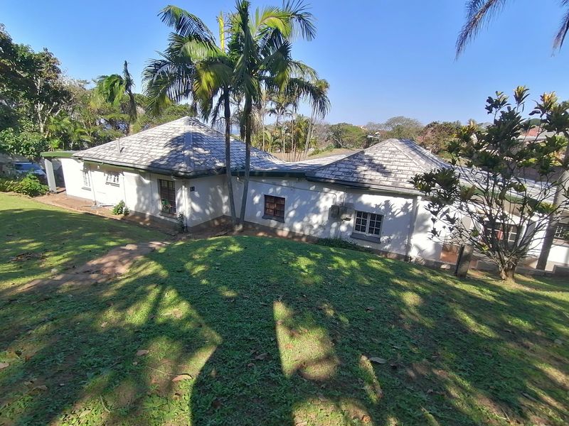 A rear view of the property featuring a tiled roof, white exterior walls, and a sloped garden area with mature palm trees.
