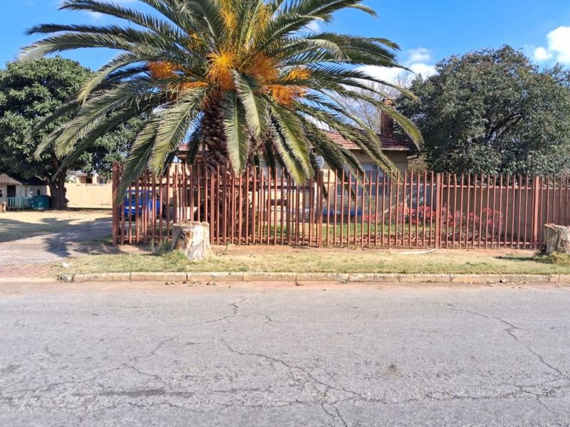 Front view of a residential property featuring a metal perimeter fence, mature palm tree, and tiled roof structure.