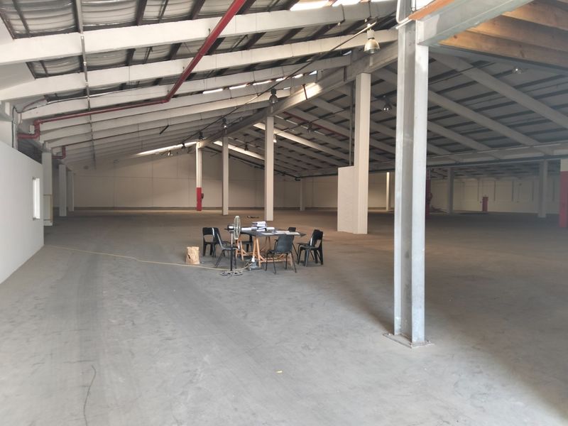 Expansive industrial warehouse space featuring high ceilings, exposed steel structural elements, concrete flooring, and an integrated fire sprinkler system.