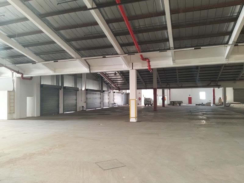 Spacious industrial warehouse featuring high ceilings with exposed steel trusses, concrete flooring, and multiple roller shutter doors for efficient access.