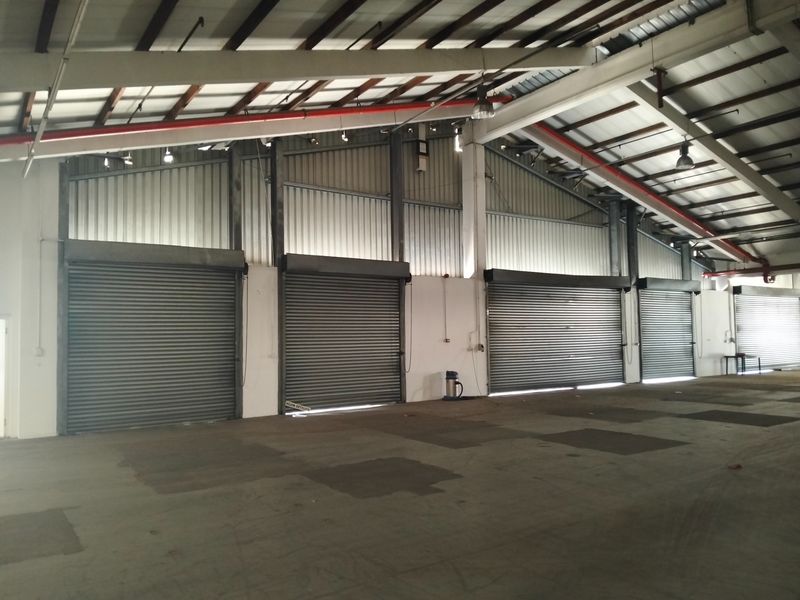Spacious industrial warehouse interior featuring multiple roller shutter doors, exposed steel roof trusses, and functional fire sprinkler system.