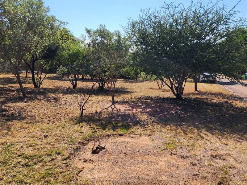A view of a vacant residential plot featuring mature trees and direct access to a paved road.