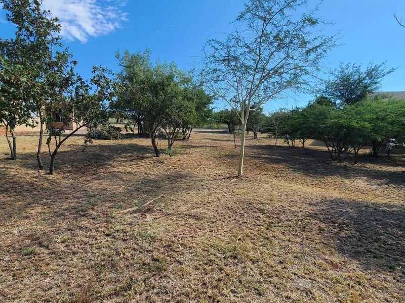 A spacious, open residential plot featuring established trees and natural grass cover, offering a blank canvas for future development.