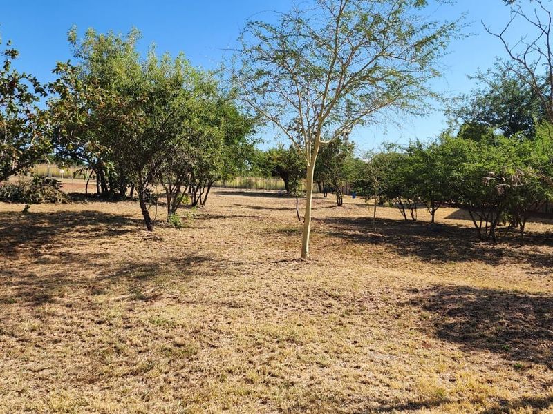 A spacious, level residential plot featuring established trees and perimeter fencing, offering a blank canvas for future development.