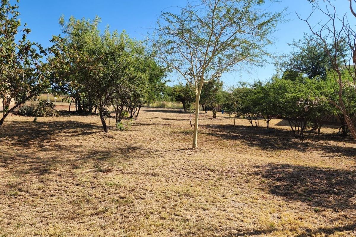 A spacious, level residential plot featuring established trees and perimeter fencing, offering a blank canvas for future development.
