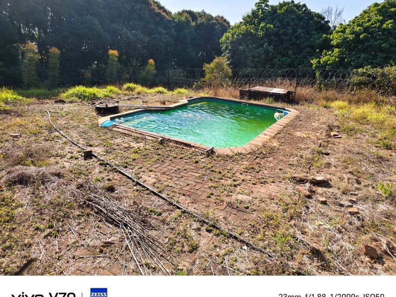 Outdoor pool area featuring a swimming pool with surrounding brick paving, currently requiring significant maintenance and landscaping restoration.