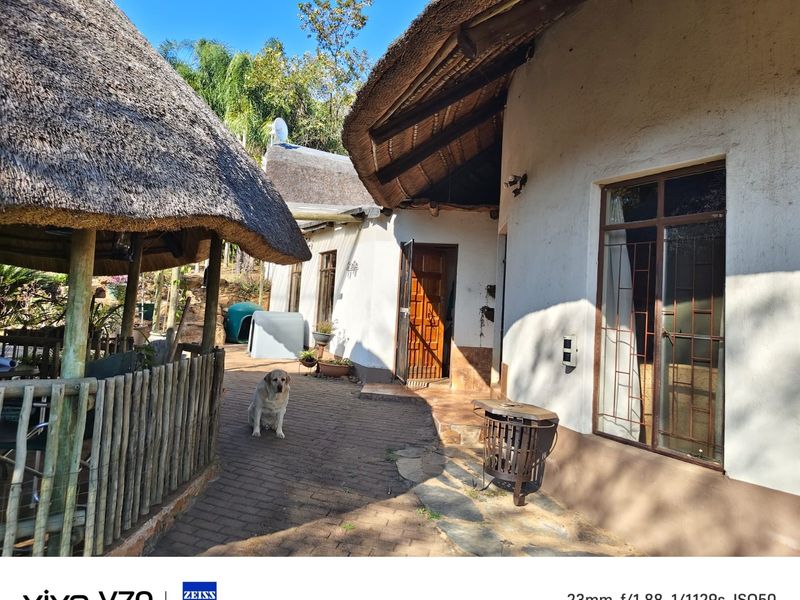 Rear exterior view of a farm-style dwelling featuring traditional thatch roofing, brick paved courtyard, and secure metal-framed windows.