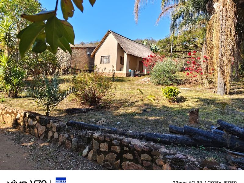 A view of a rustic cottage with a thatched roof, set within a natural garden featuring a stone retaining wall.